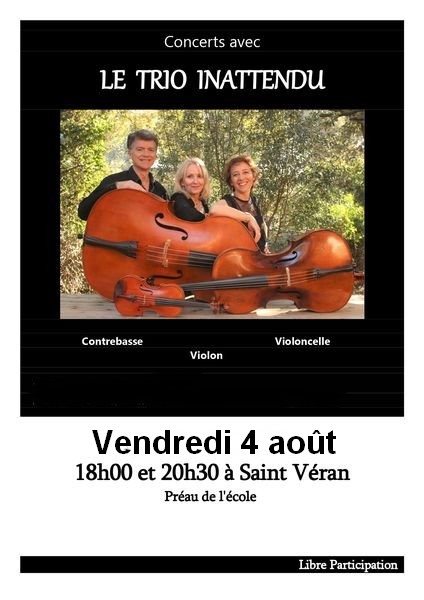 Affiche Trio inattendu